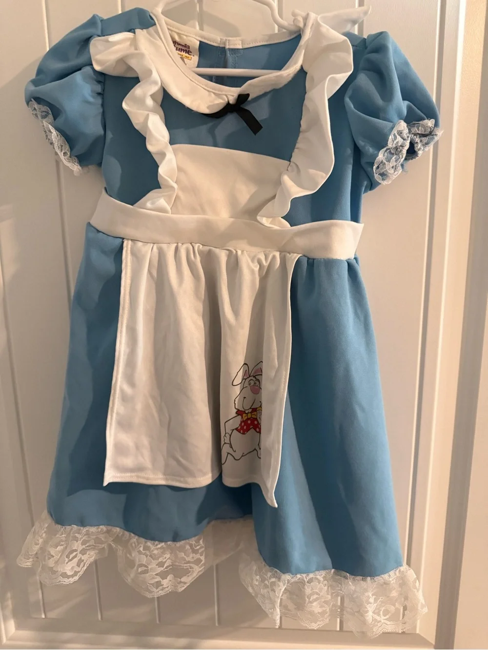 California Costume Alice in Wonderland Dress Costume 3T 4T